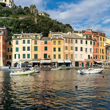 Splendid In Apartment