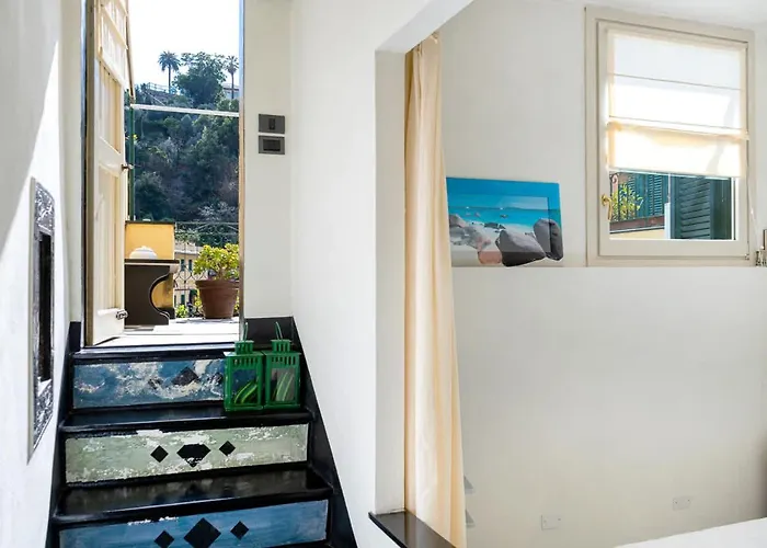 Splendid In * بورتوفينو